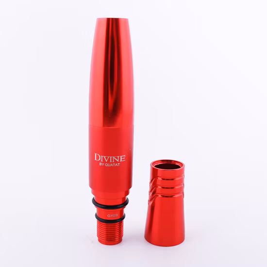 Permanent Makeup Needle Eyebrow Needles Wholesale Chuse P1 Permanent Makeup Machine